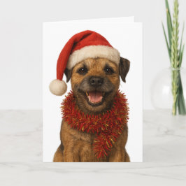 Super cute Border Terrier Christmas card Kort