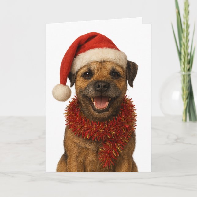 Super cute Border Terrier Christmas card Kort (Framsida)