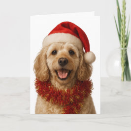 Super cute cream Cockerpoo Christmas card Kort