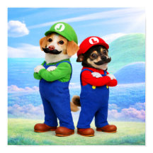 "Super Doggio Bröder"