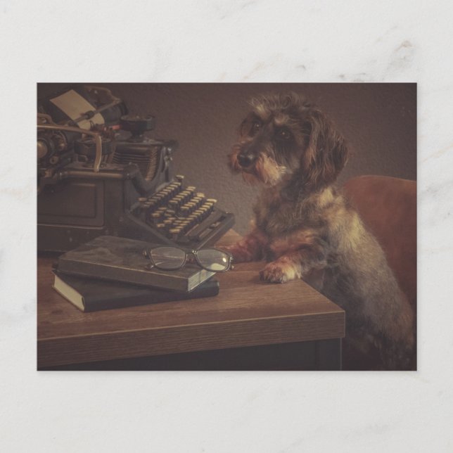 Super leuke teckel kaart vykort (Framsida)