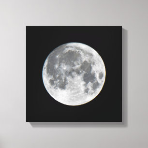 Super Moon Mendota Heights Minnesota Canvastryck