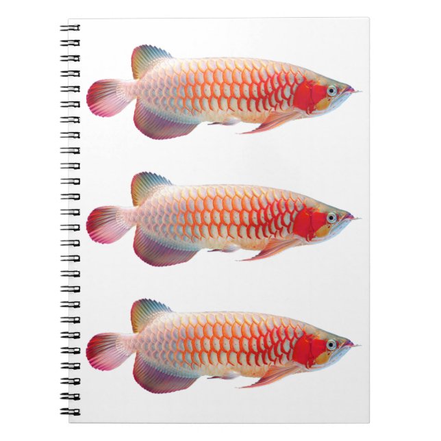 “Super Red Arowana”のスプリングノート Anteckningsbok (Framsidan)