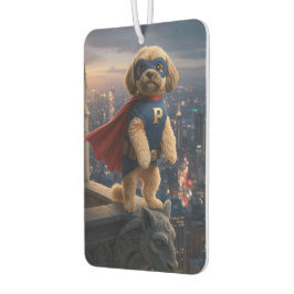 Super Shih Tzu, Herohundgåva Guardian Of The City