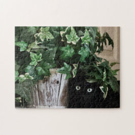 Super Sneak Mode Pussel, 11" x 14", 252 bitar Pussel