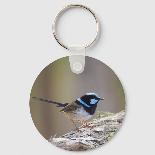 Superb Fairy Wren Nyckelring (Framsida)