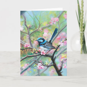 Superb Fairy Wren - Tack Kort