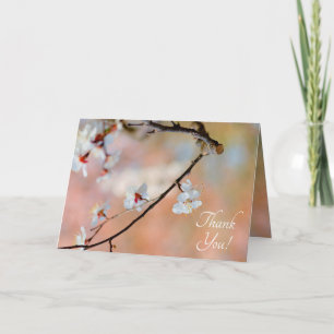 Superb Japanska Apricot Flowers Tack Kort