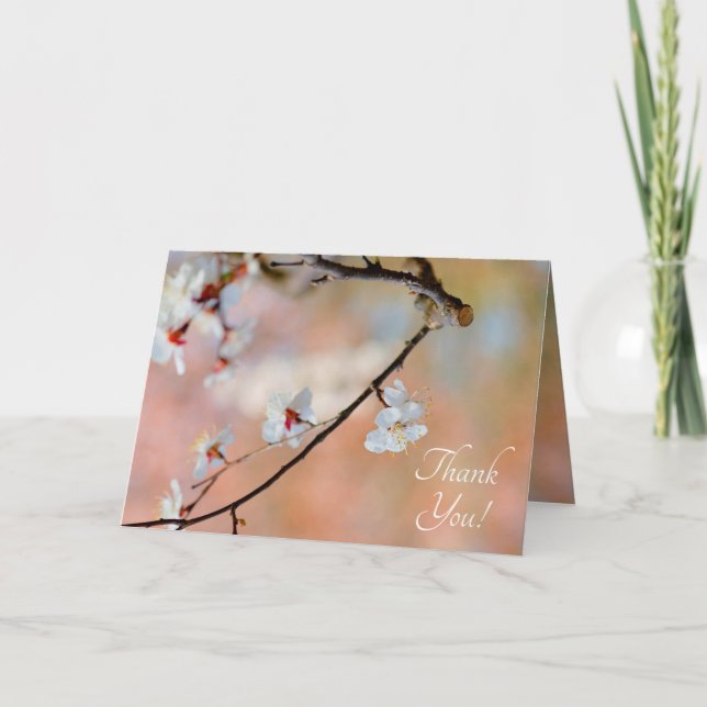 Superb Japanska Apricot Flowers Tack Kort (Framsida)