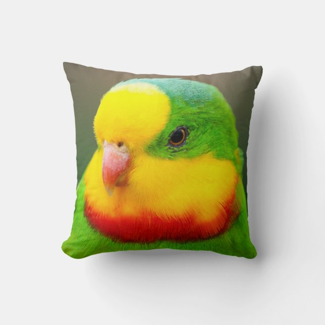 Superb Parrot Kudde (Framsida)