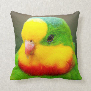 Superb Parrot Kudde