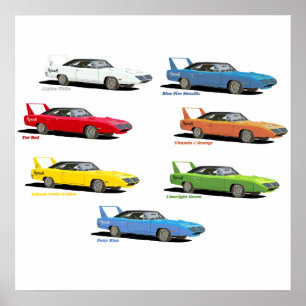 Superbird Färg Poster