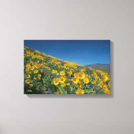 Superbloom med hög deert Balsam Canvastryck