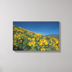 Superbloom med hög deert Balsam Canvastryck