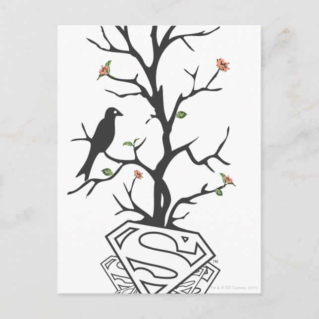 Supergirl Birds i Träd Vykort (Framsida)