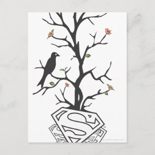 Supergirl Birds i Träd Vykort