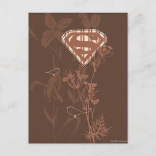 Supergirl Brown Bird Vykort