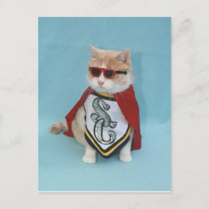 Superhjälte Bubba Vykort