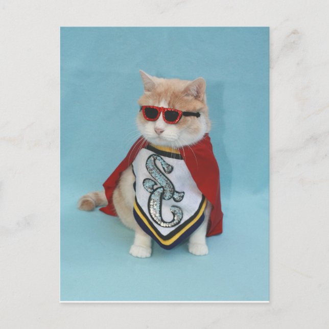 Superhjälte Bubba Vykort (Framsida)