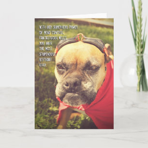 Superhjälte Hund Birthday Card Kort