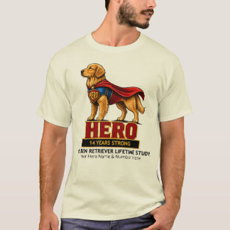 SUPERHJÄLTE LJUS - 14 år stark T Shirt