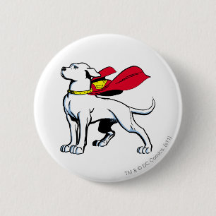 Superhund Krypto Knapp