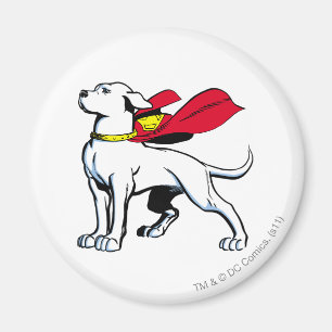 Superhund Krypto Magnet