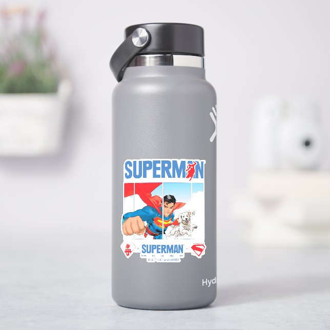 Superman och Krypto Take Flight Klistermärken (HydroFlask)