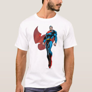 Superman Stands Tall T Shirt