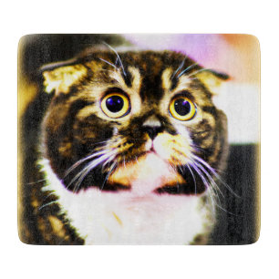 Superskoj Foto av en fin katt. Köp nu