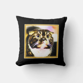 Superskoj Foto av en fin katt. Köp nu Kudde