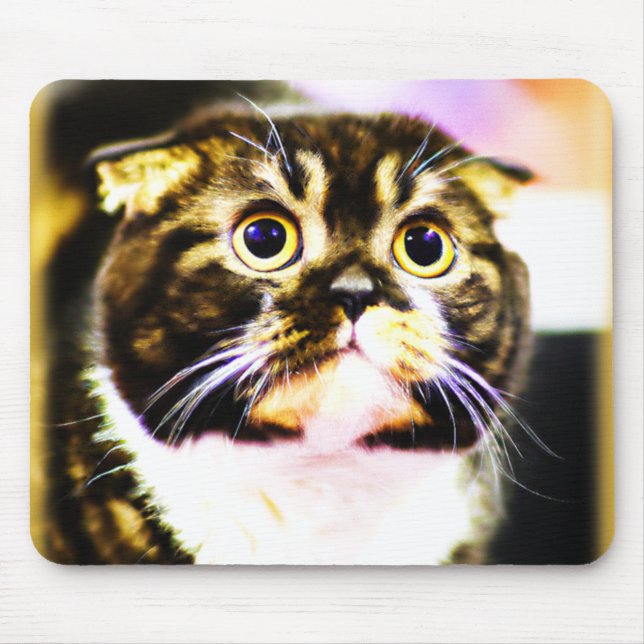 Superskoj Foto av en fin katt. Köp nu Musmatta (Framsidan)