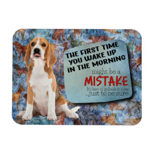 Superskoj från Beagle Magnet