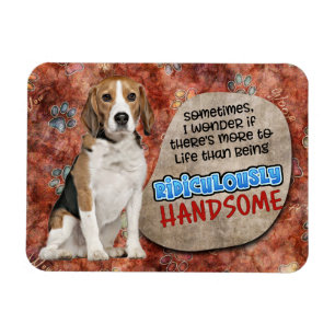 Superskoj från Beagle Magnet