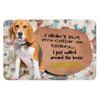 Superskoj från Beagle Magnet