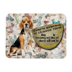 Superskoj från Beagle Magnet
