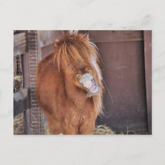 Superskoj Horsey Vykort