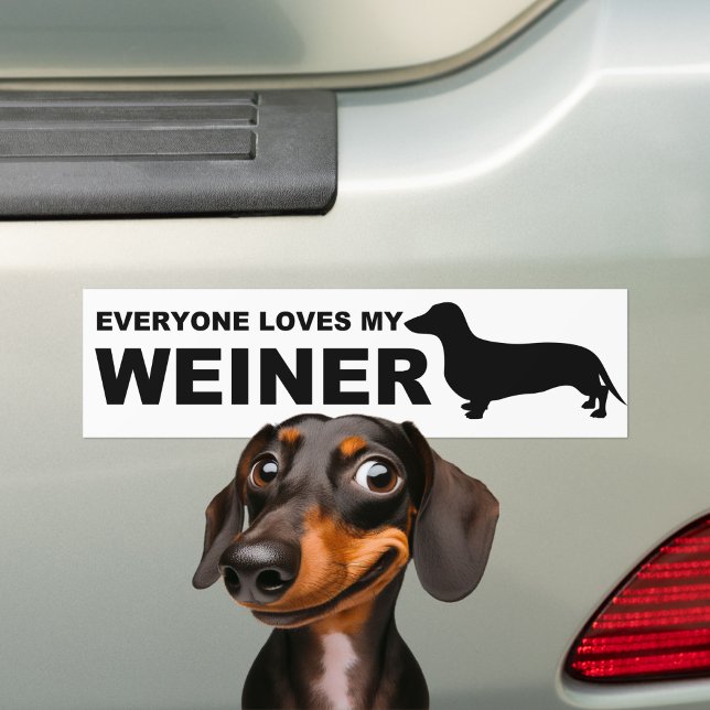 Superskoj Weiner Hund ’Dachshund’ Quote Bildekal (Skapare uppladdad)