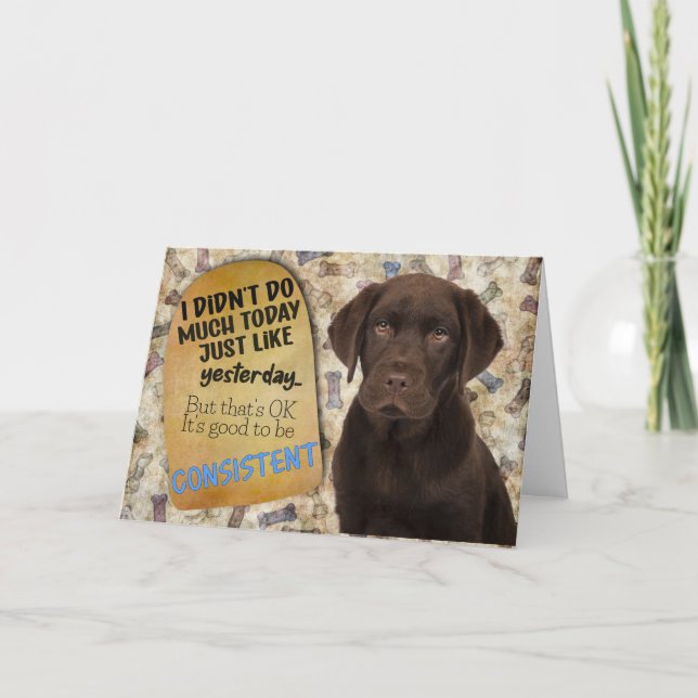 Superskojet från Labrador Birthday Kort (Framsida)