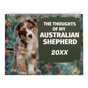 Superskojet Tankar i Australian shepherd Kalender
