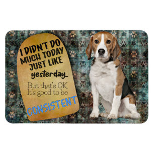 Superskojets tanke från din Beagle Magnet