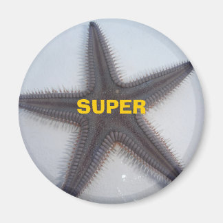 Superstjärna Magnet