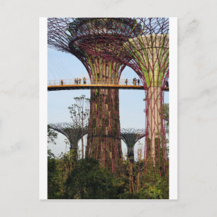 Supertree Grove Gardens by Bay Singapore Vykort