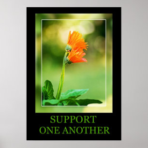 Support varandra poster