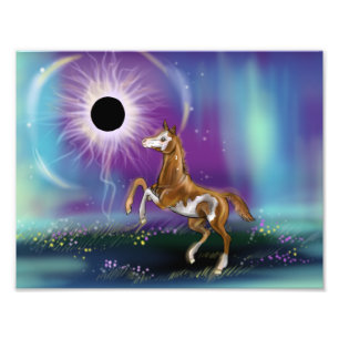 Suprise Eclipse Baby Horse WIP-utskrift Fototryck