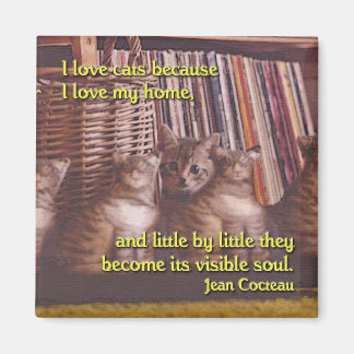 Sur av en hemmagnet magnet