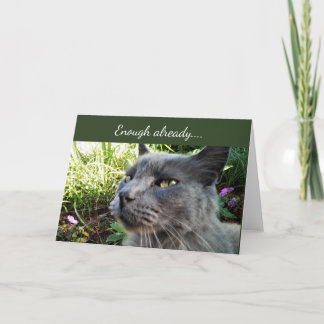 Sur mu katt med rolig ansiktsuttryckning antecknin kort