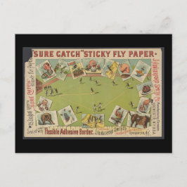 "Sure Catch" Fly Papper Vykort