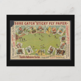 "Sure Catch" Fly Papper Vykort