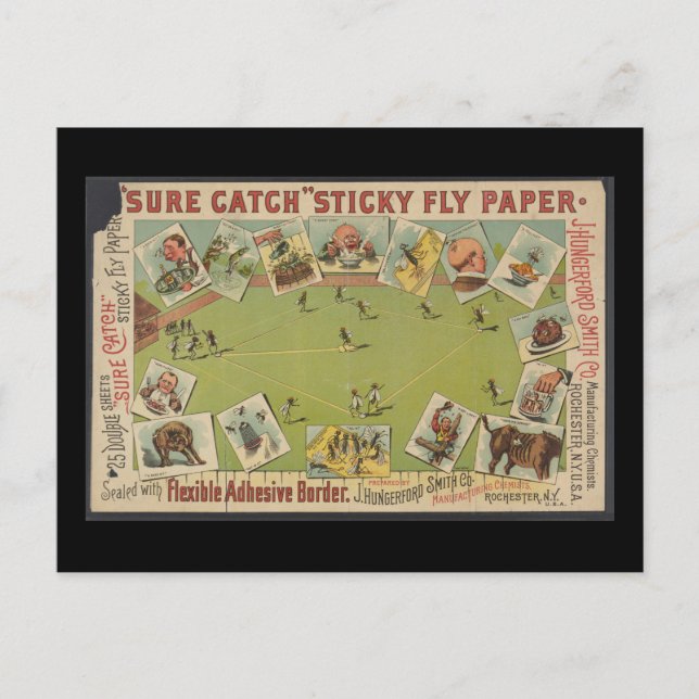 "Sure Catch" Fly Papper Vykort (Framsida)